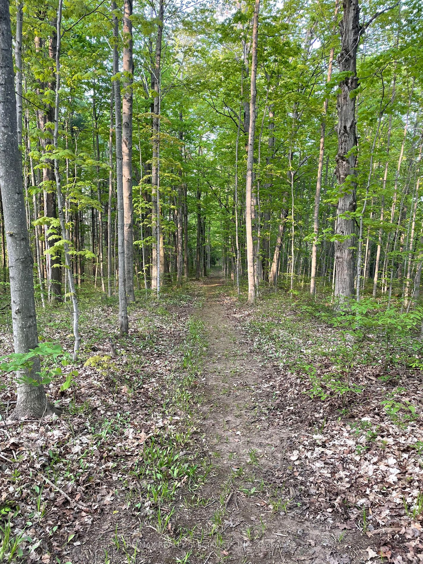 Listing W6055572 - Large Photo # 39