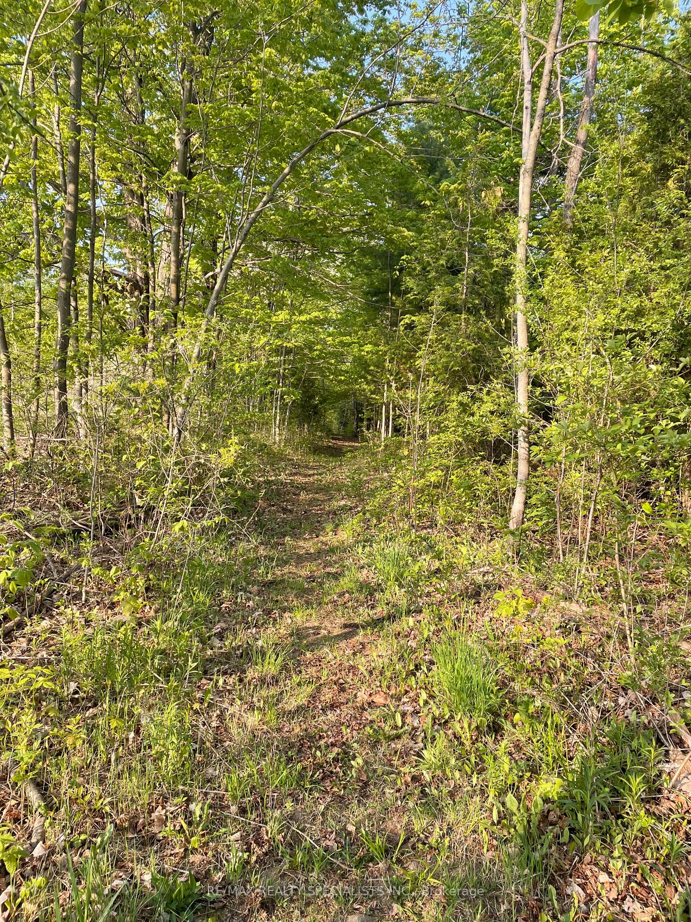 Listing W6055572 - Large Photo # 40