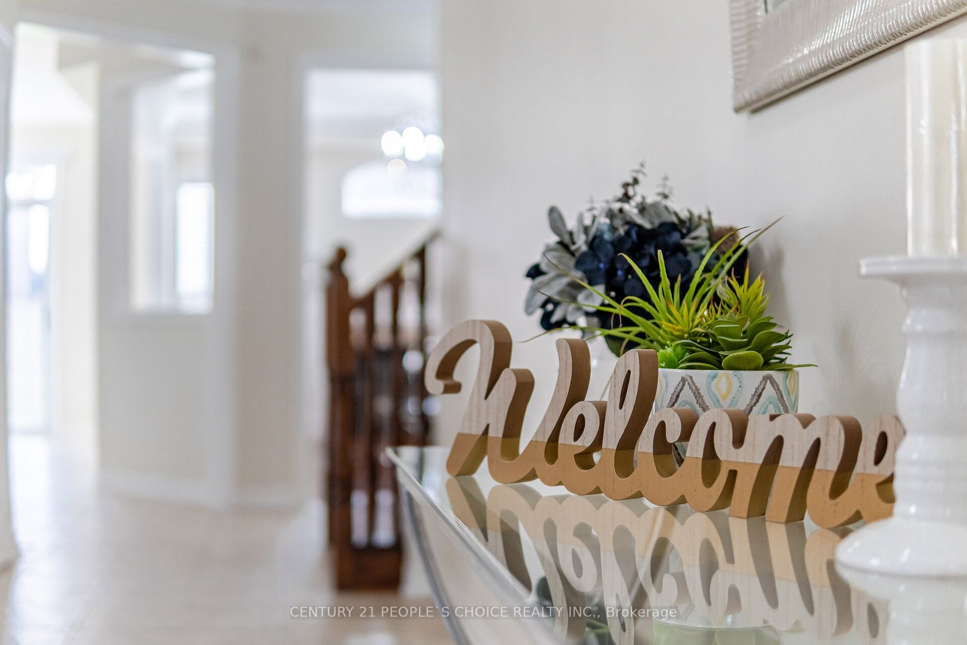 19 Dovehaven Crescent