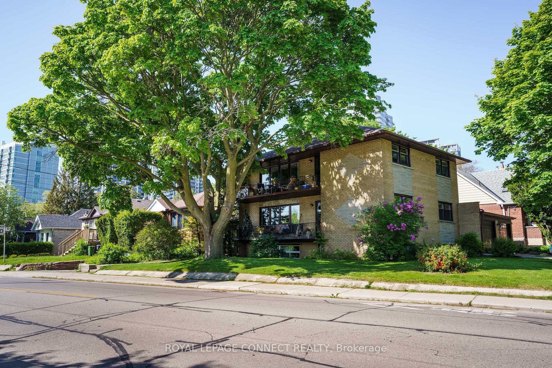 42 Ellis Avenue