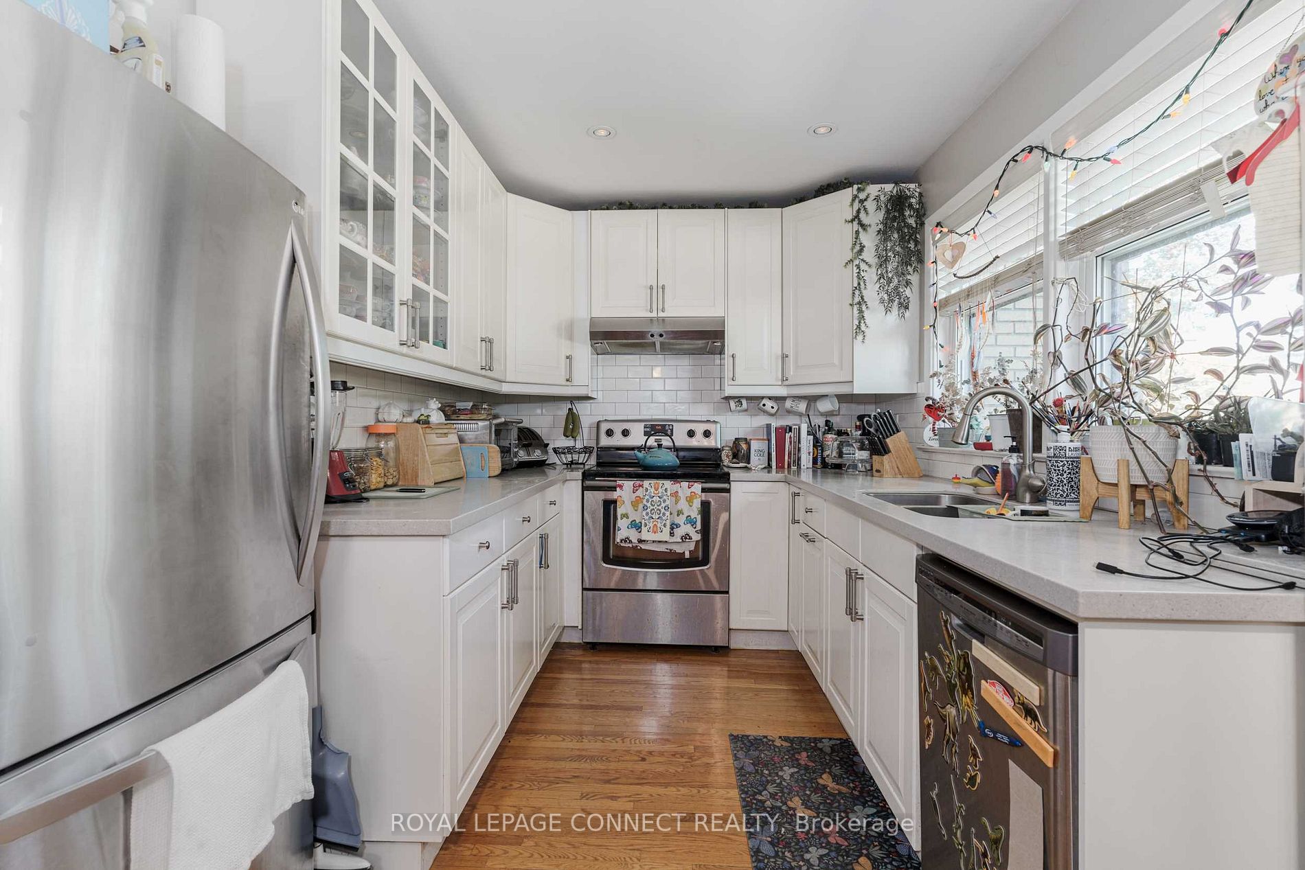 42 Ellis Avenue