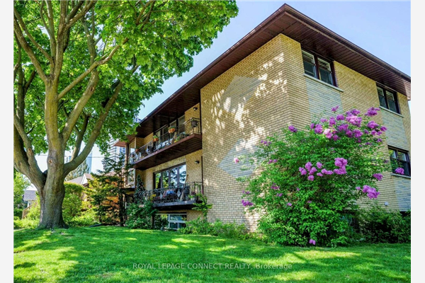 42 Ellis Ave