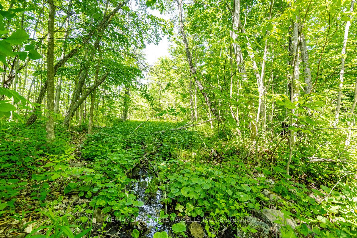 0 Mississauga Rd