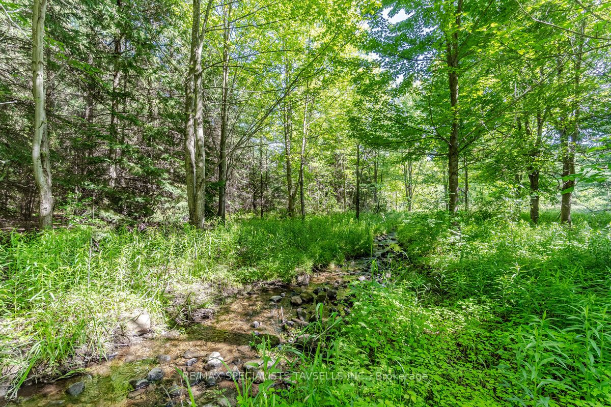 0 Mississauga Rd