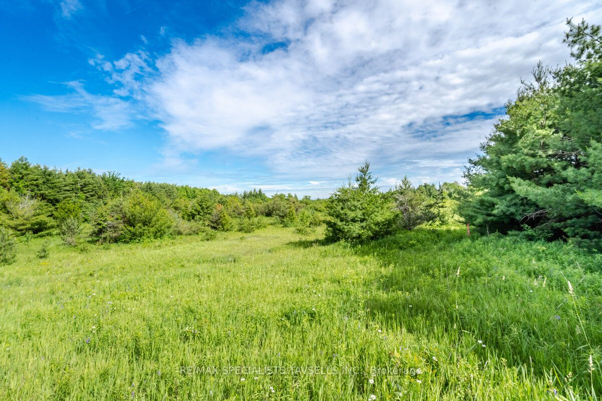 0 Mississauga Rd