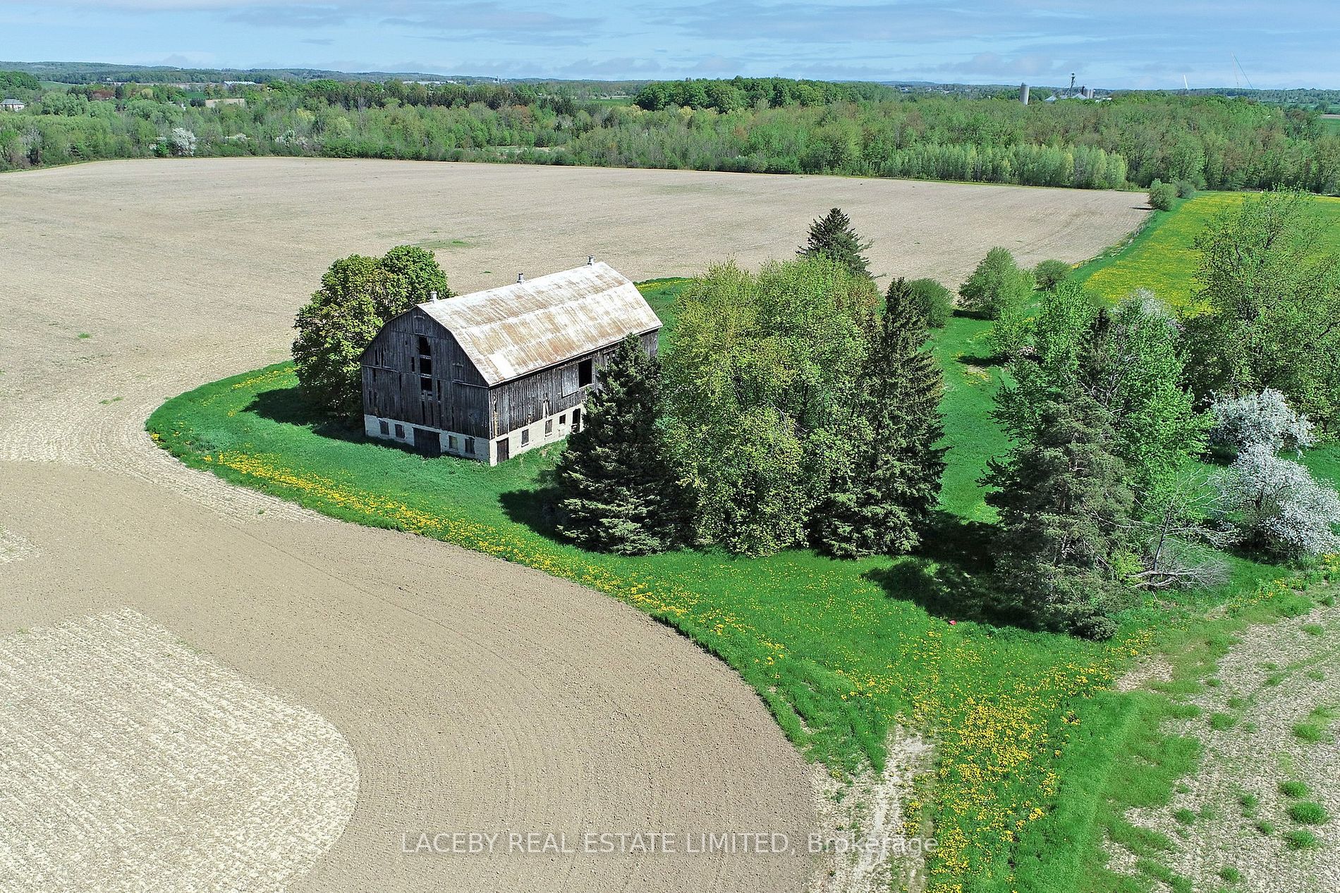 Listing W6067936 - Large Photo # 10