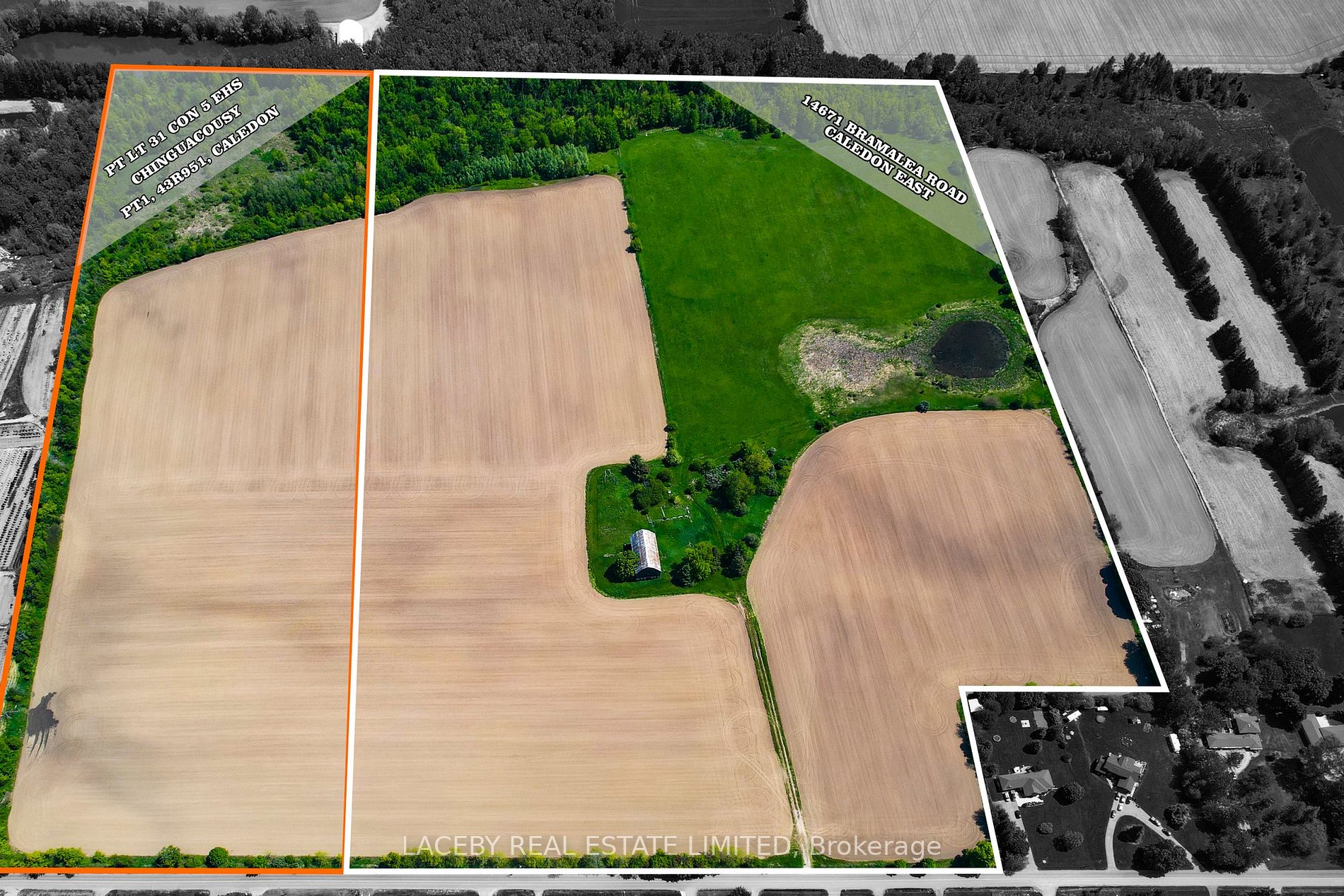 Listing W6067936 - Large Photo # 5