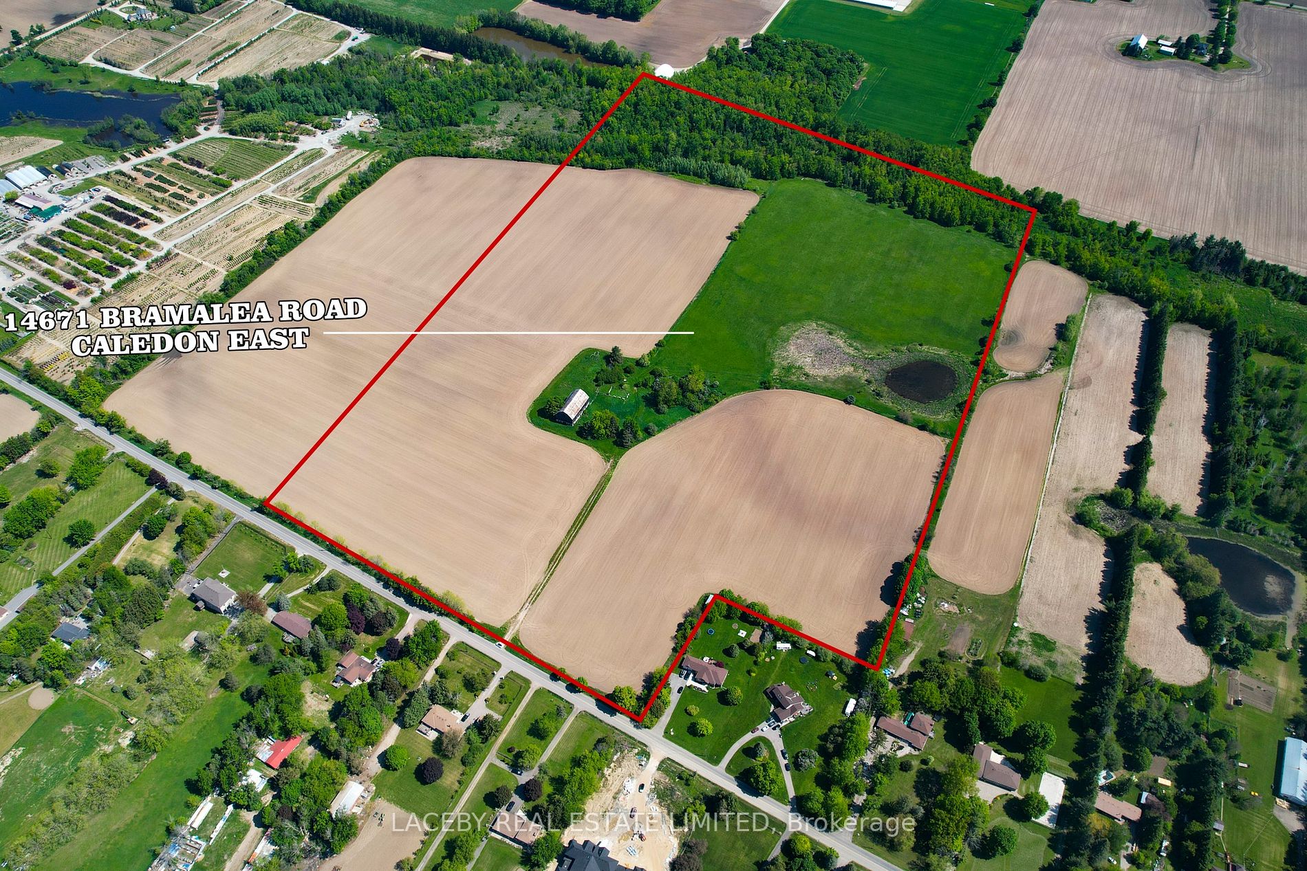 Listing W6067936 - Large Photo # 3