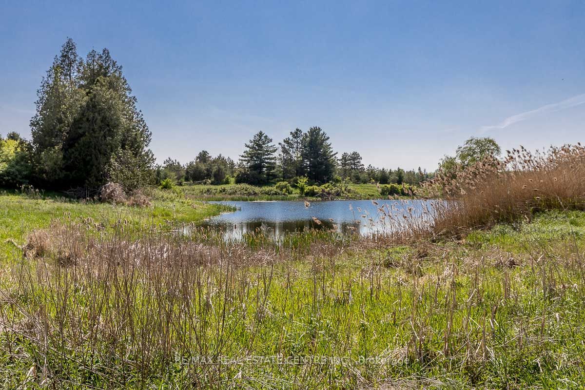 Listing W6077812 - Large Photo # 1