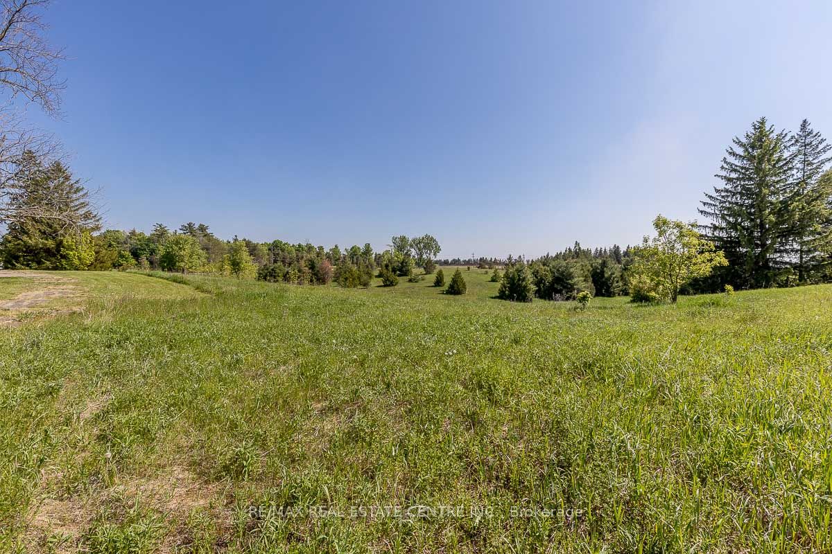 Listing W6077812 - Large Photo # 7