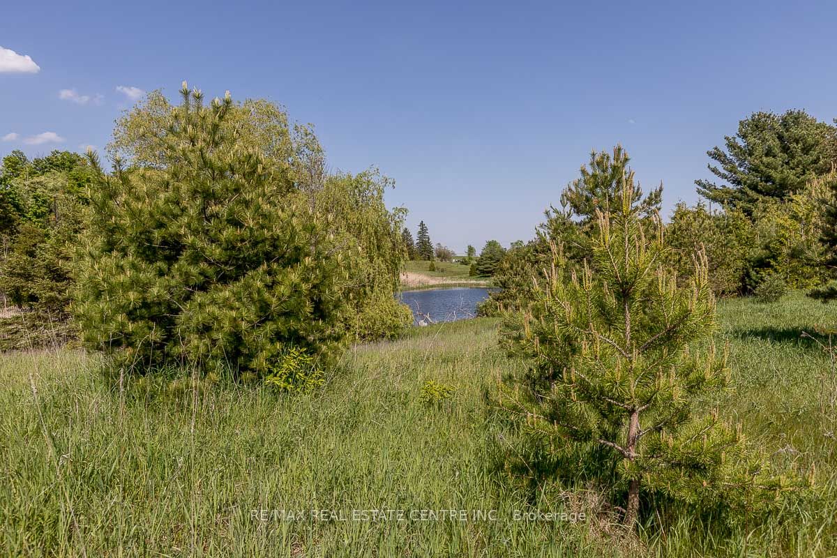 Listing W6077812 - Large Photo # 23