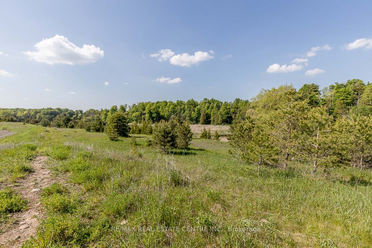Listing W6077812 - Large Photo # 22