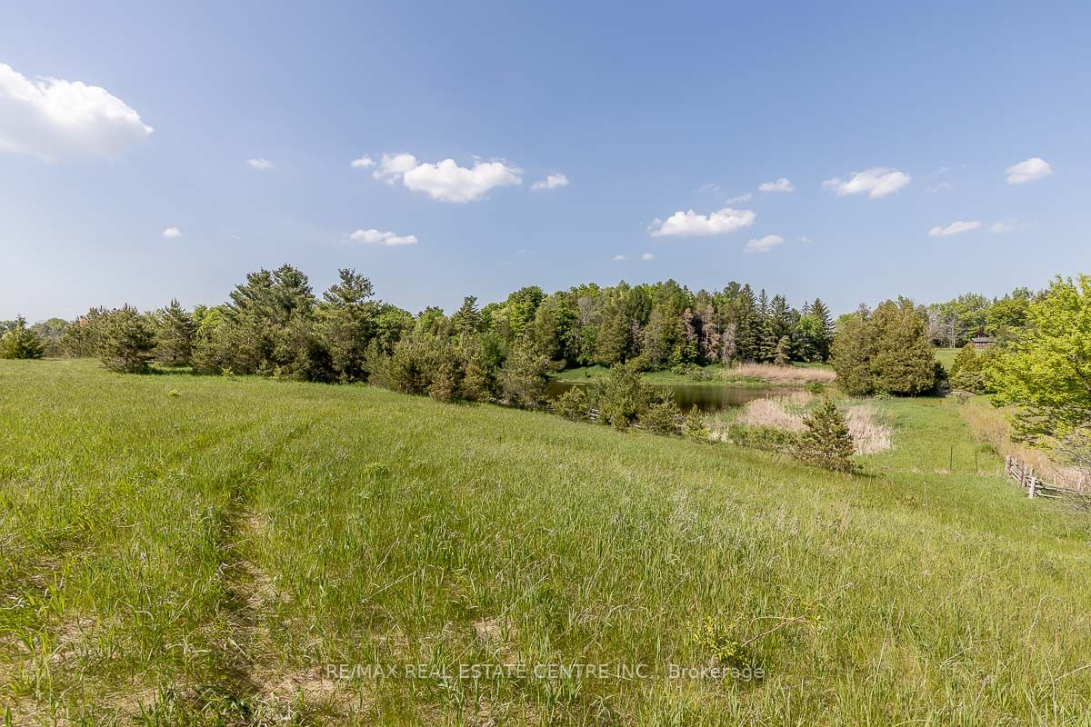 Listing W6077812 - Large Photo # 21