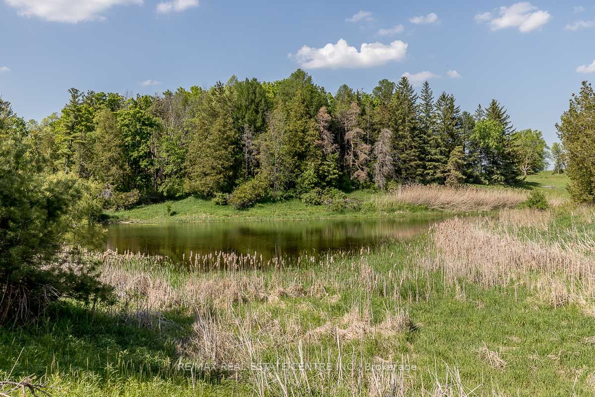 Listing W6077812 - Large Photo # 20