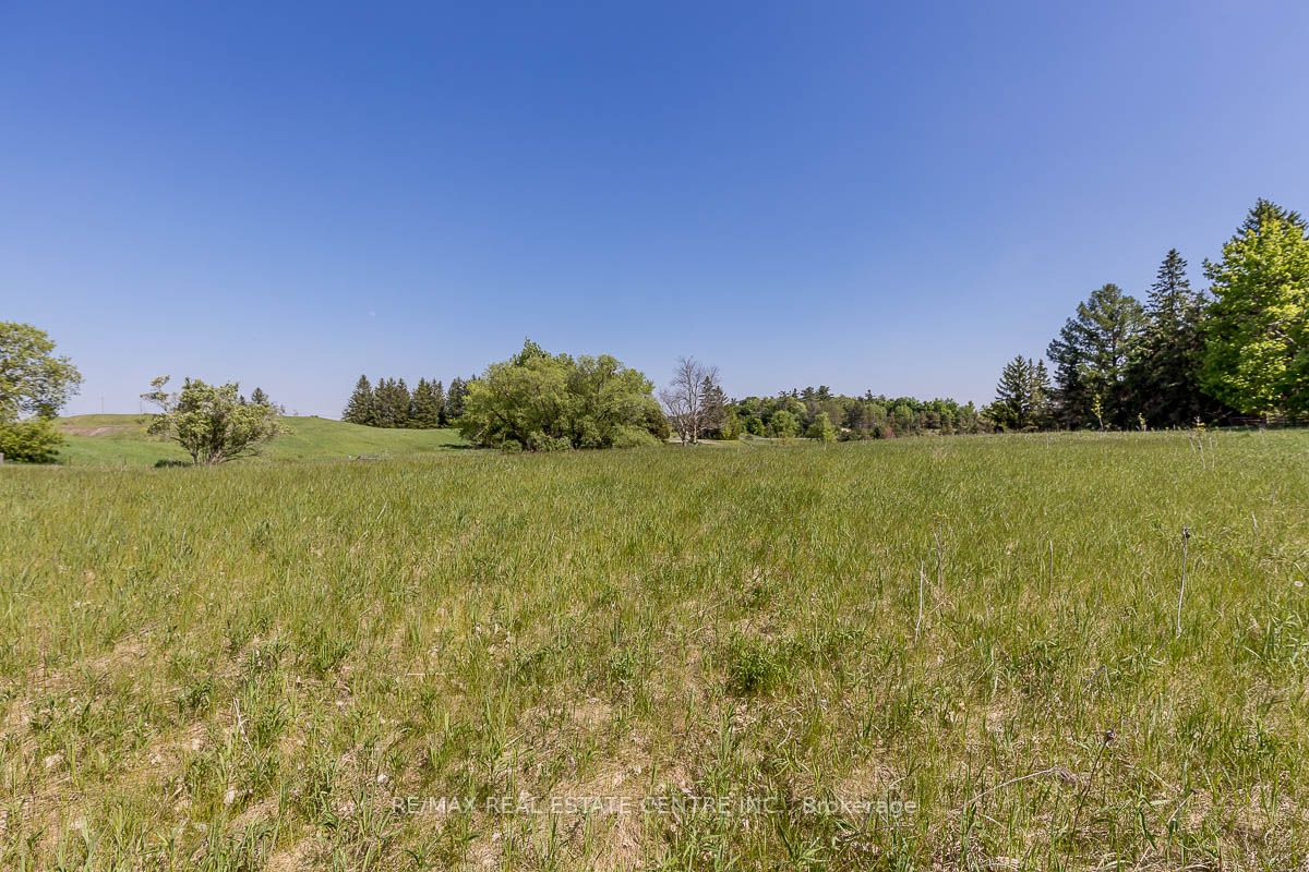 Listing W6077812 - Large Photo # 5
