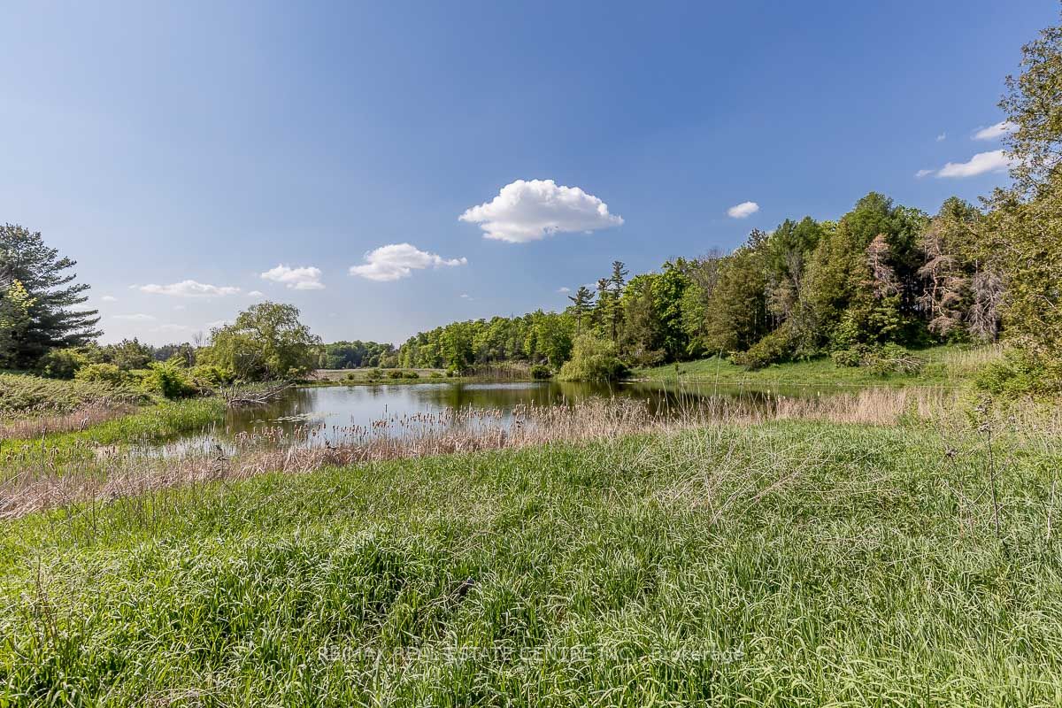 Listing W6077812 - Large Photo # 12