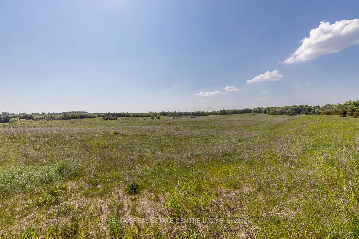 Listing W6077812 - Large Photo # 16