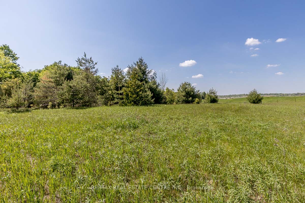 Listing W6077812 - Large Photo # 6
