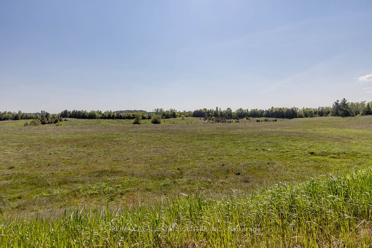 Listing W6077812 - Large Photo # 24