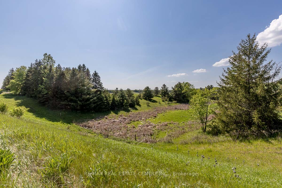 Listing W6077812 - Large Photo # 14