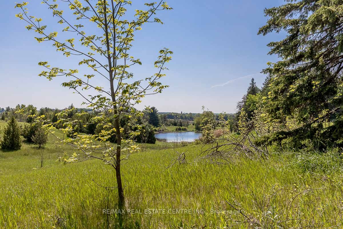 Listing W6077812 - Large Photo # 3