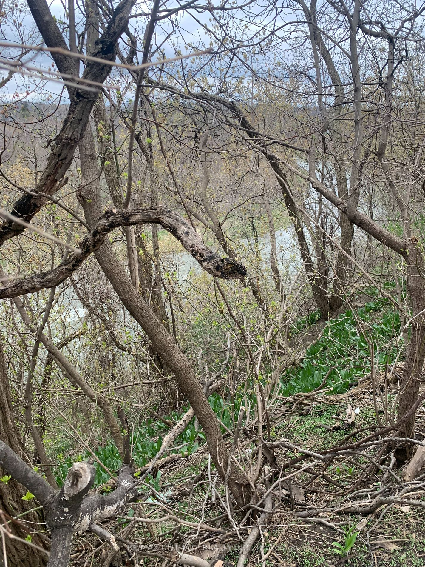 Listing W6077864 - Large Photo # 9