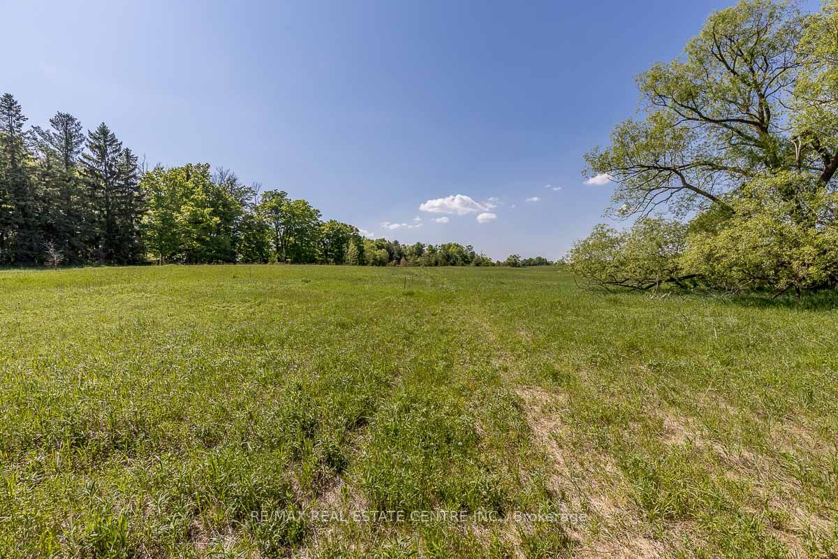Listing W6078460 - Large Photo # 5