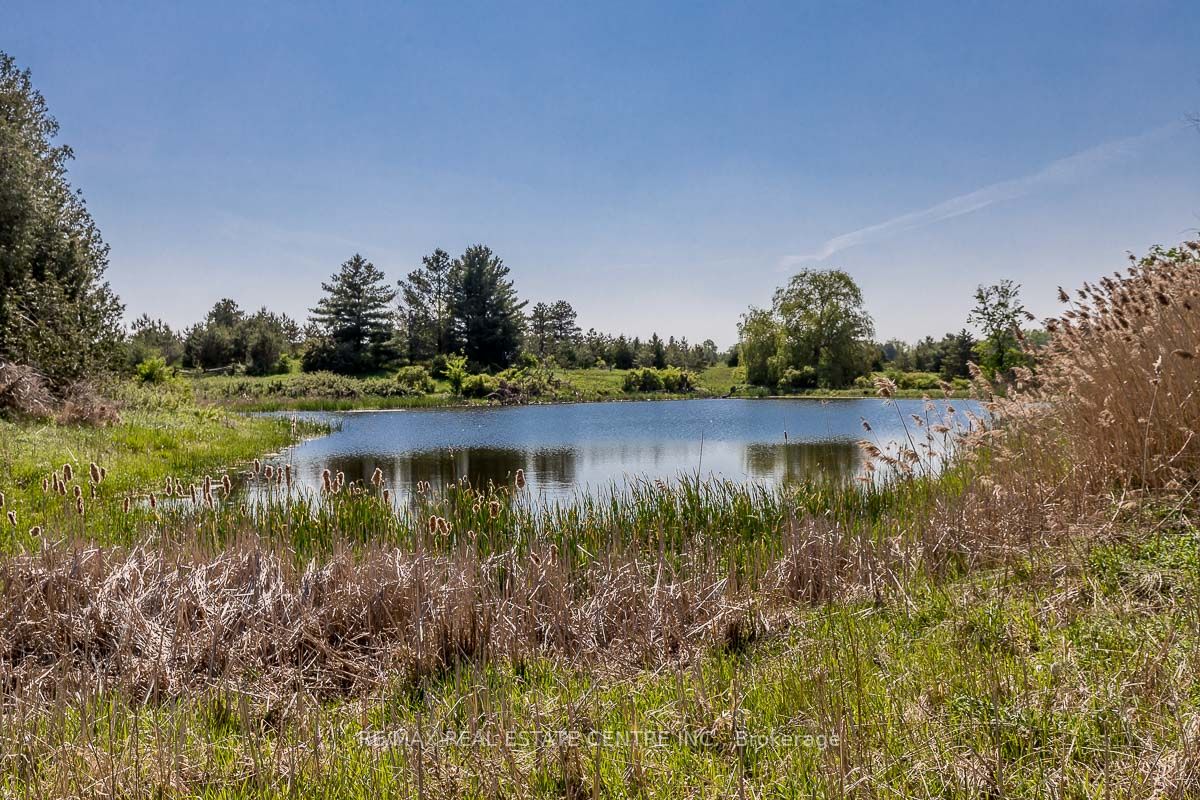 Listing W6078460 - Large Photo # 11