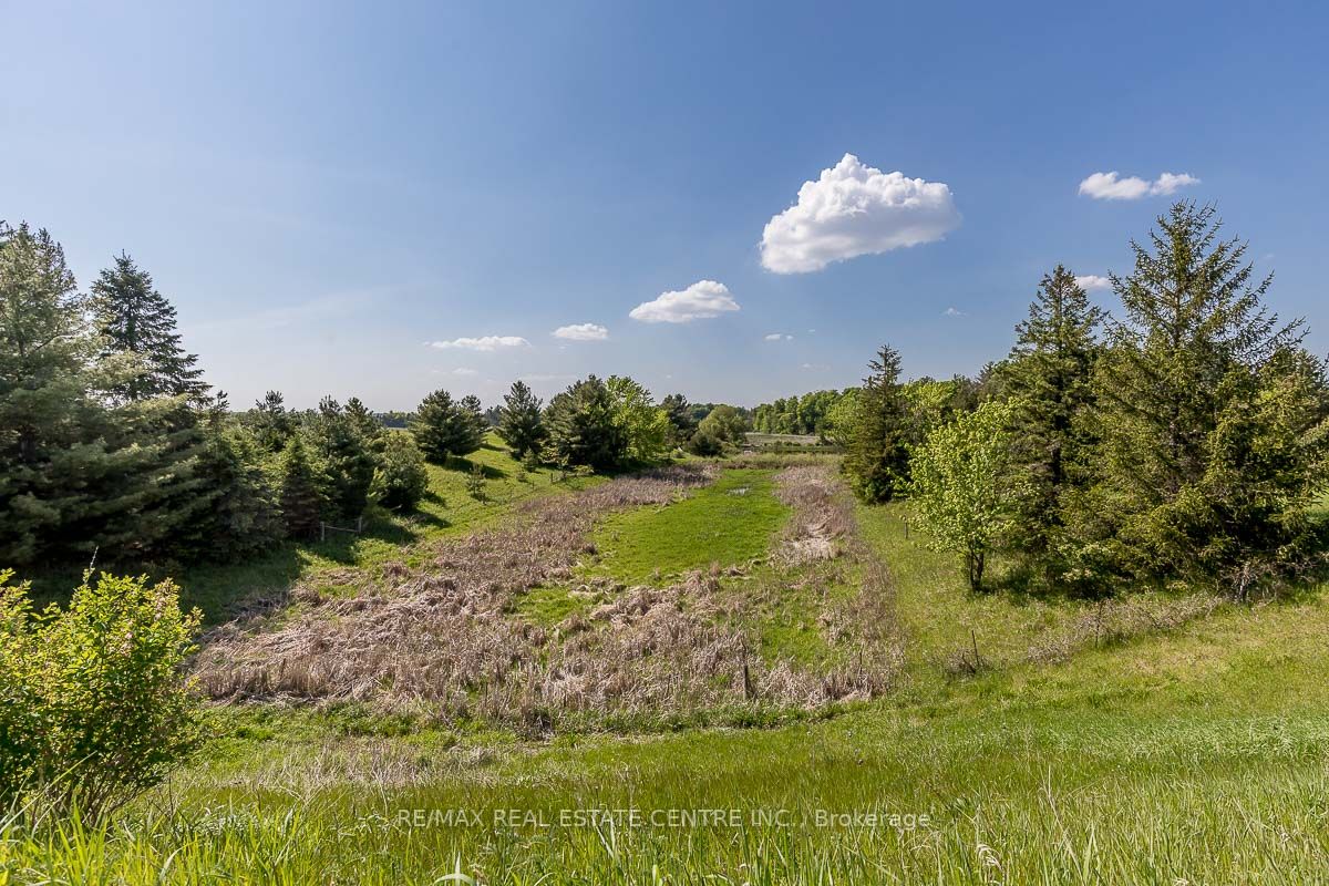 Listing W6078460 - Large Photo # 20