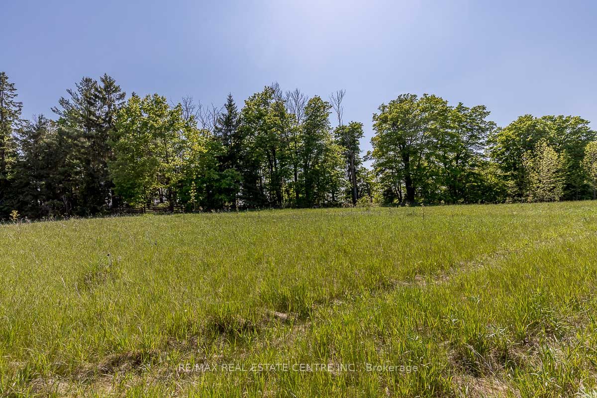 Listing W6078460 - Large Photo # 6
