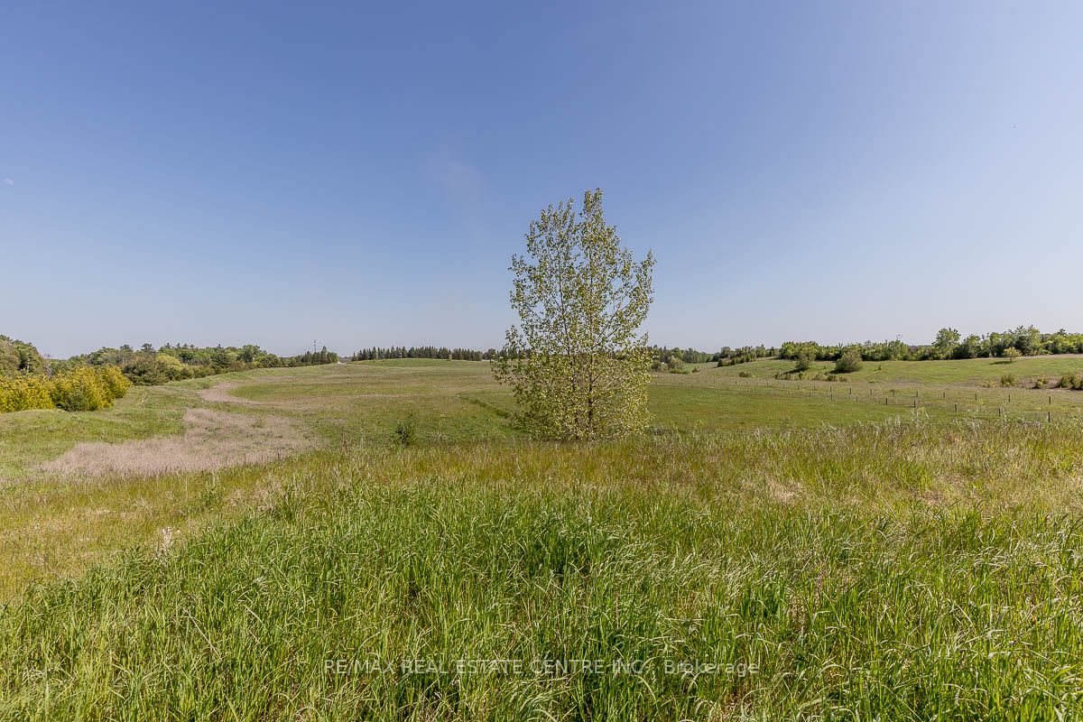 Listing W6078460 - Large Photo # 31