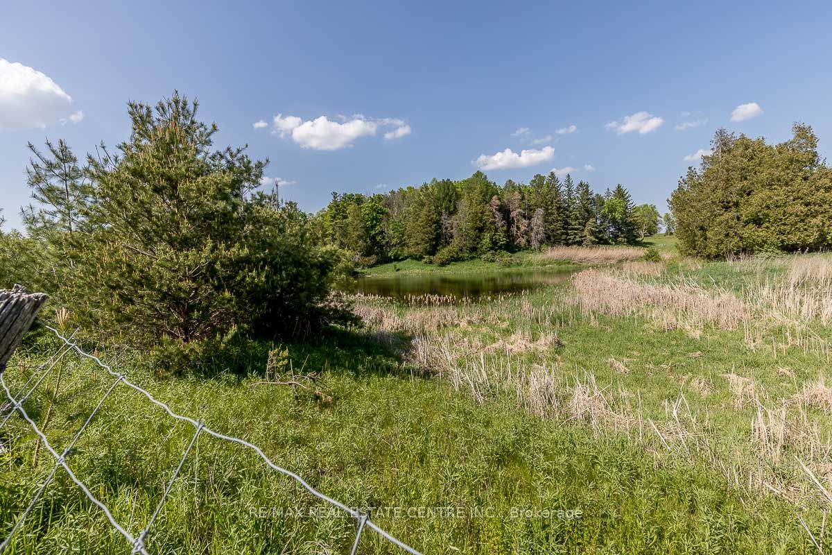 Listing W6078460 - Large Photo # 23