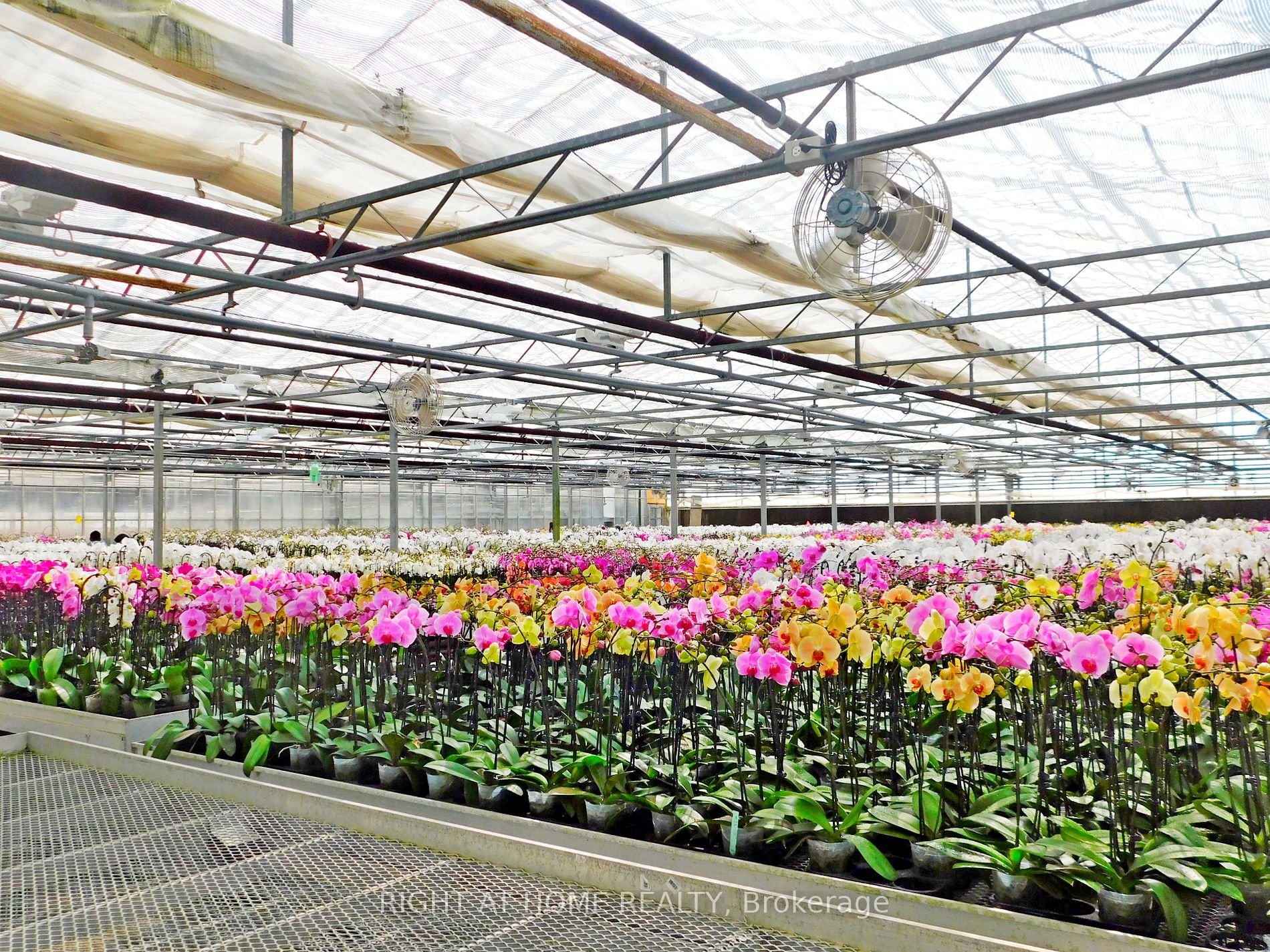 Listing W6080380 - Large Photo # 17