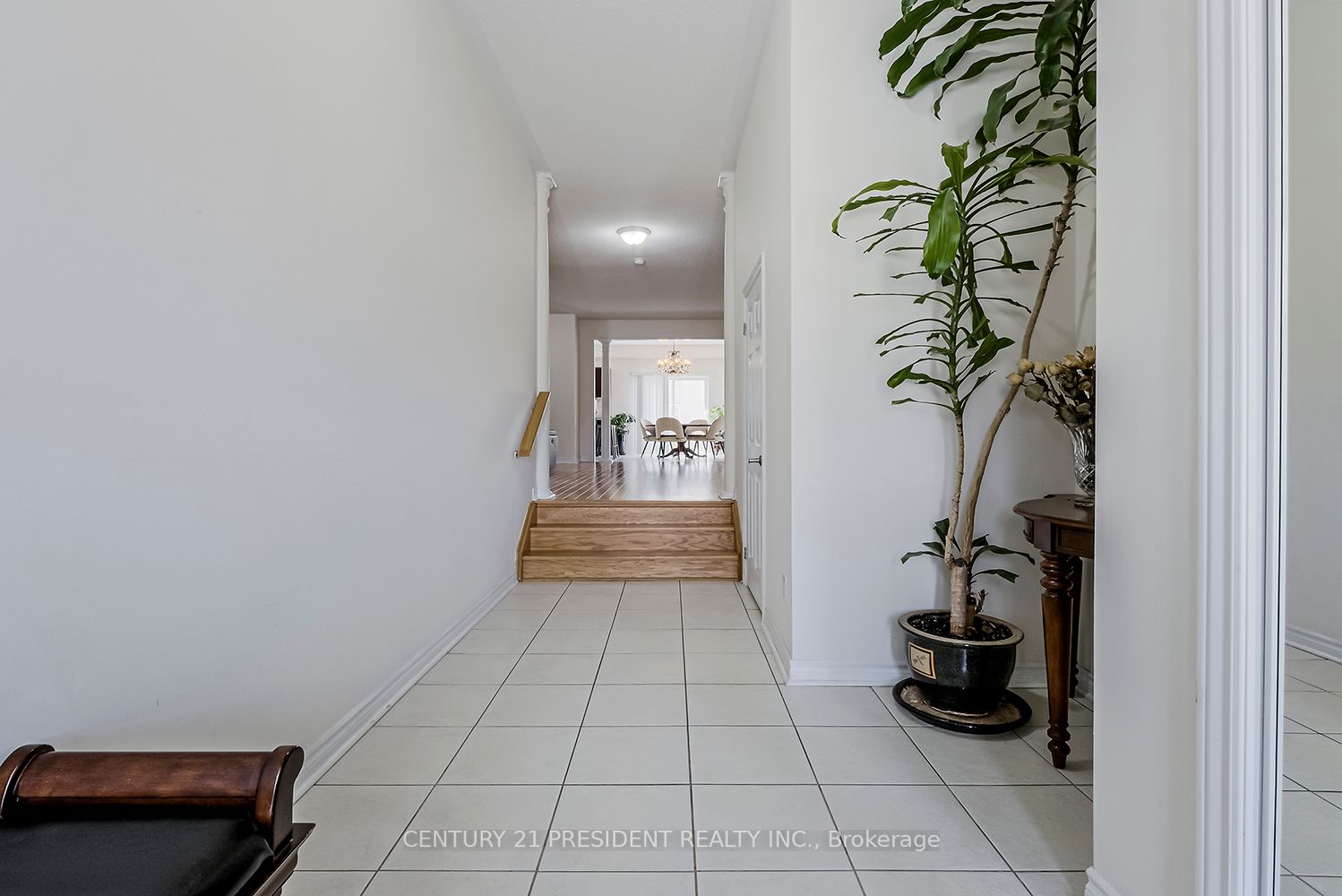 12 Dillon Dr