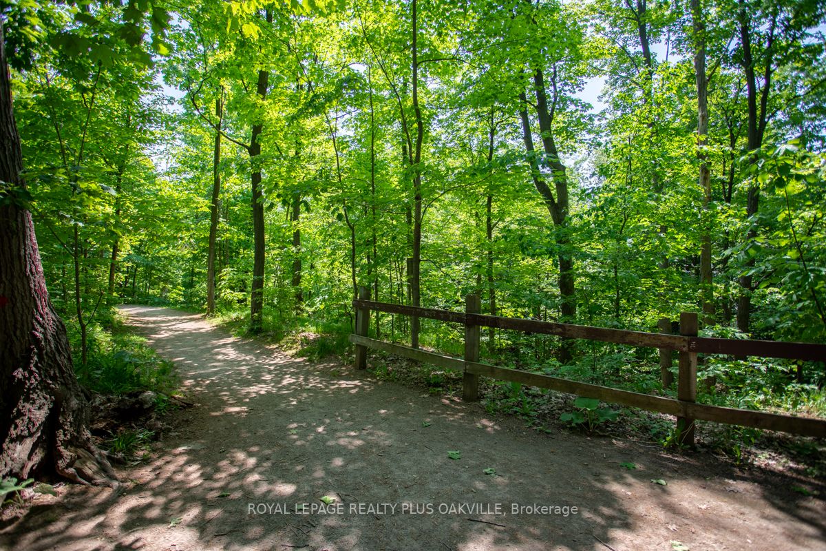 1496 Pilgrims Way, #113