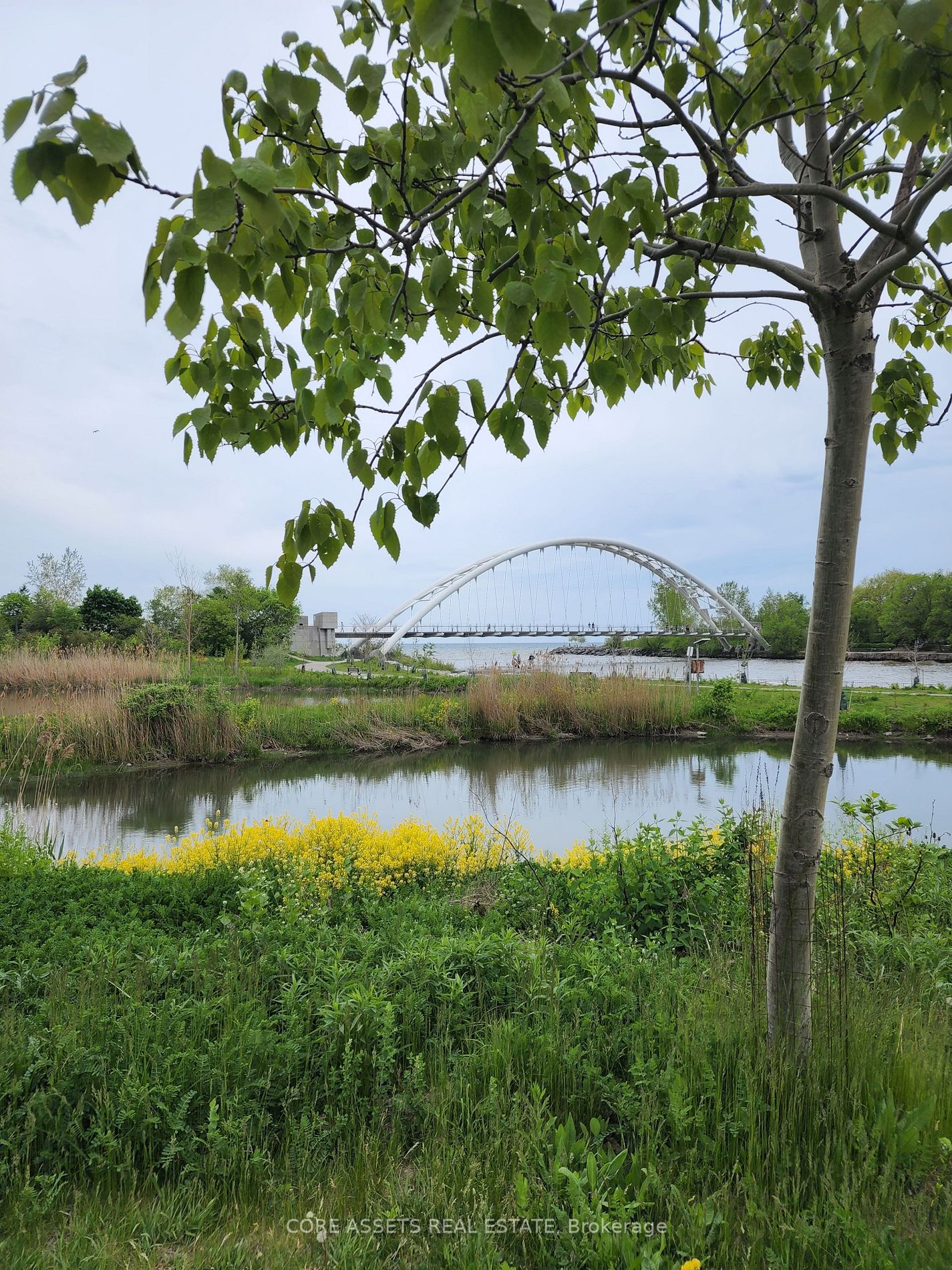 88 Palace Pier Court, #806