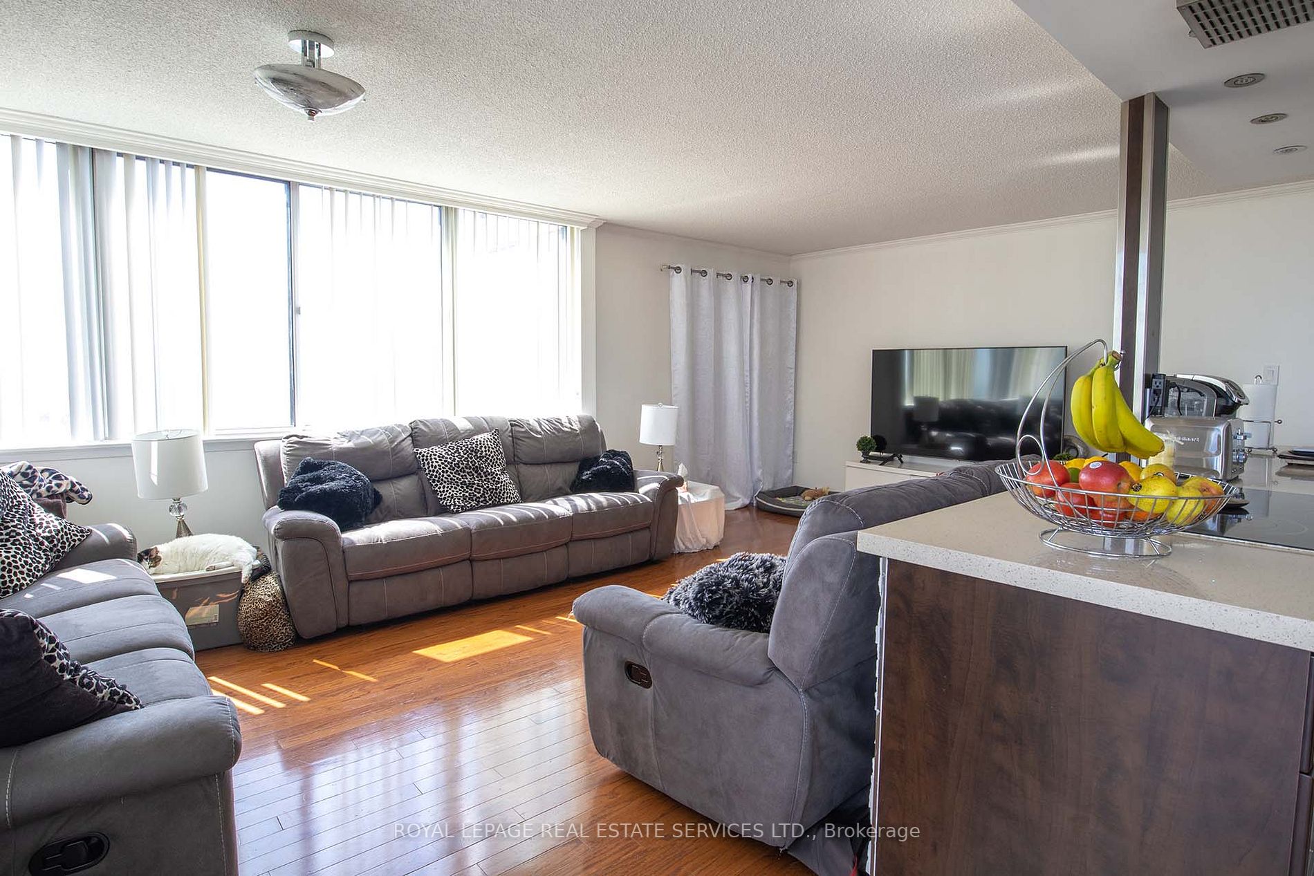 Listing W6111320 - Large Photo # 8
