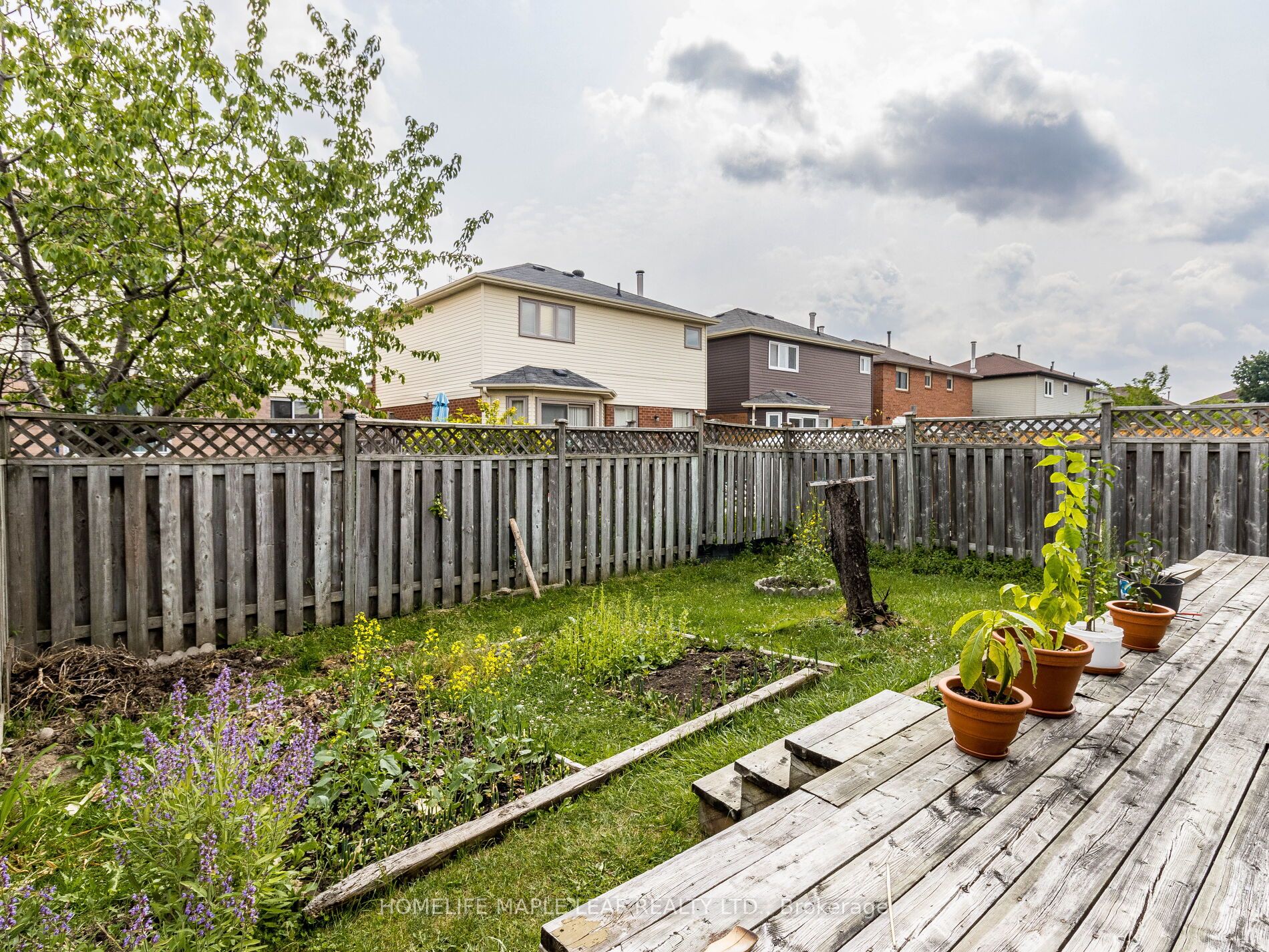 Listing W6134424 - Large Photo # 23