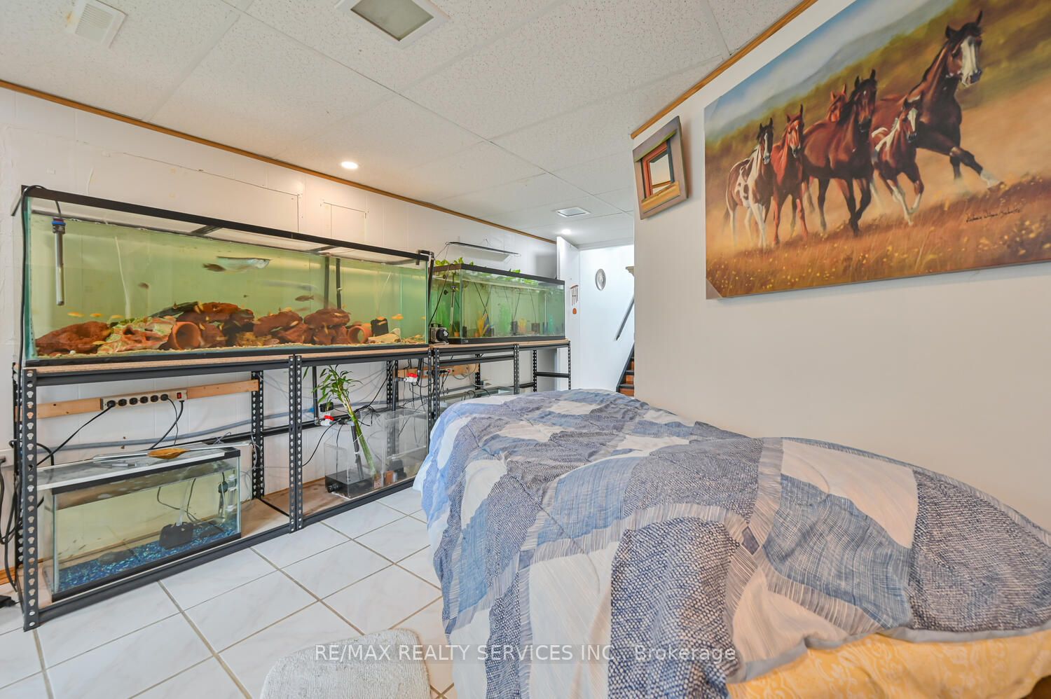 Listing W6140300 - Large Photo # 35
