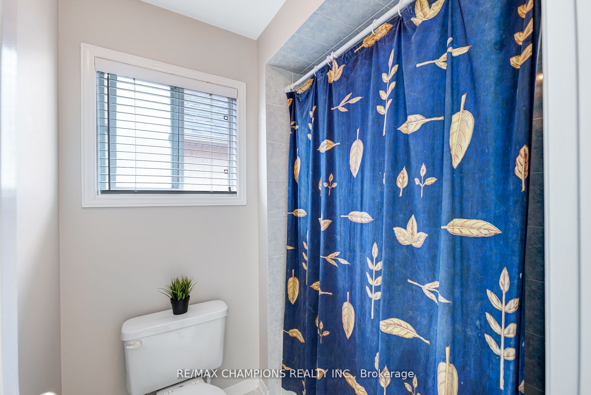 11 Cape Dorset Cres