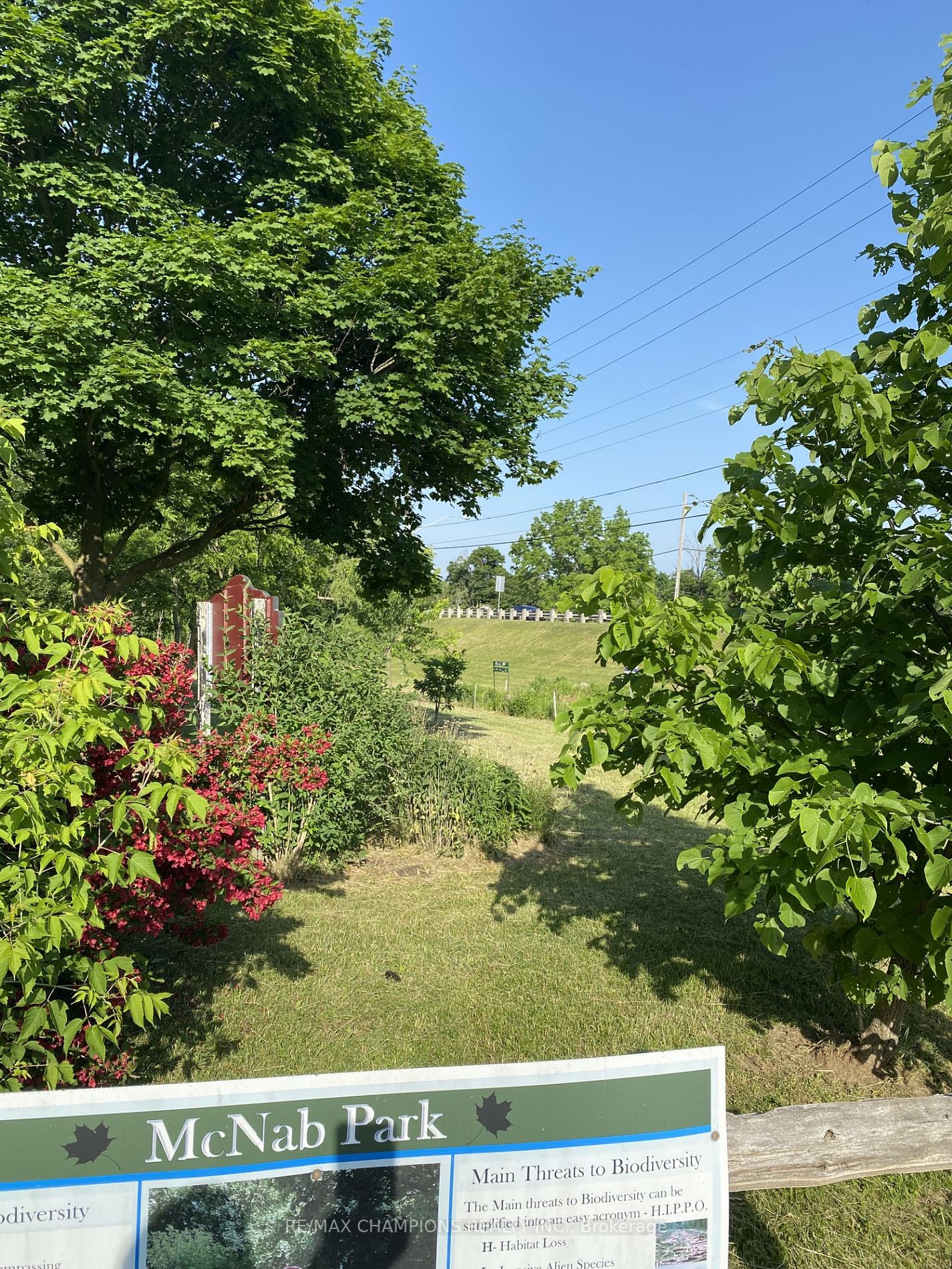 Listing W6156544 - Large Photo # 39