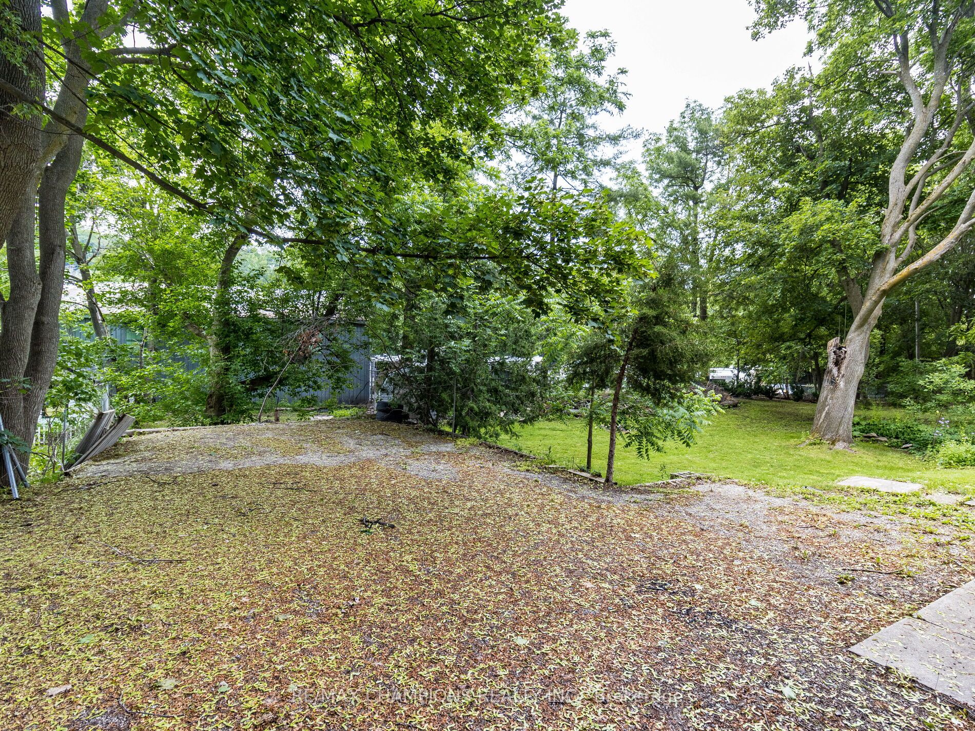 Listing W6156544 - Large Photo # 32