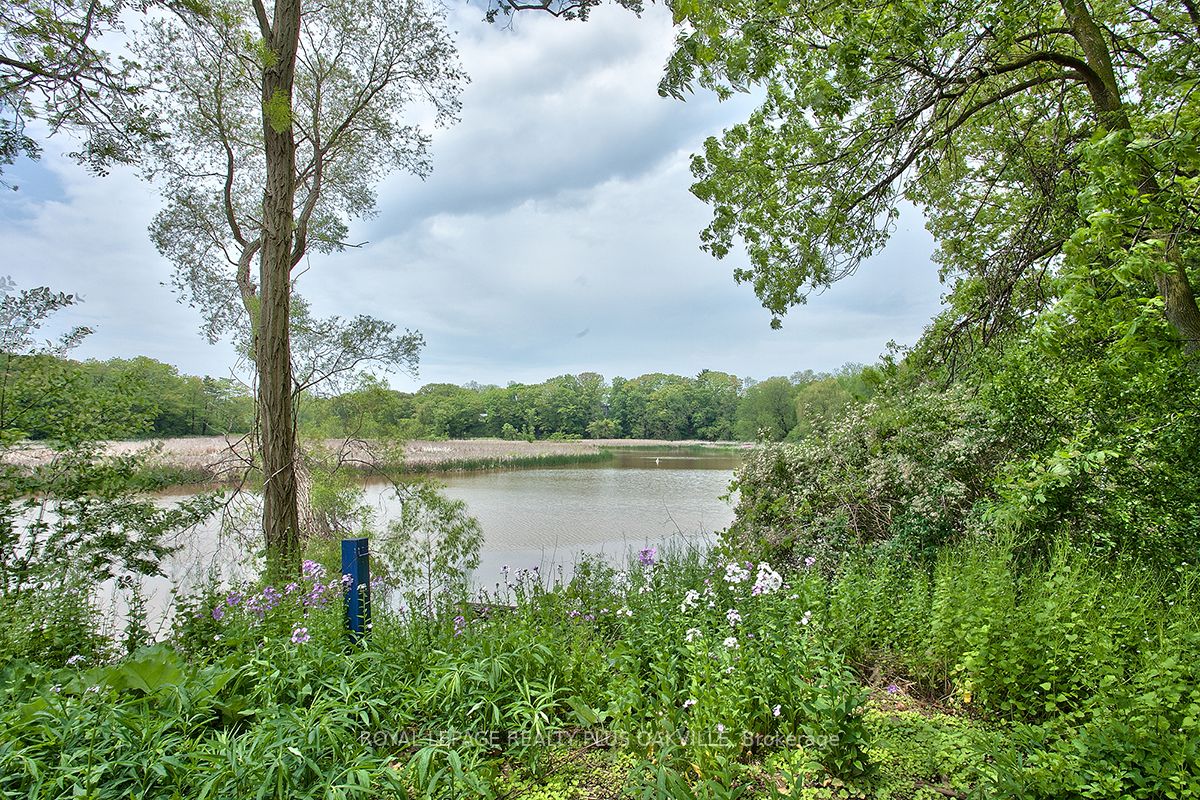 Listing W6159816 - Large Photo # 37