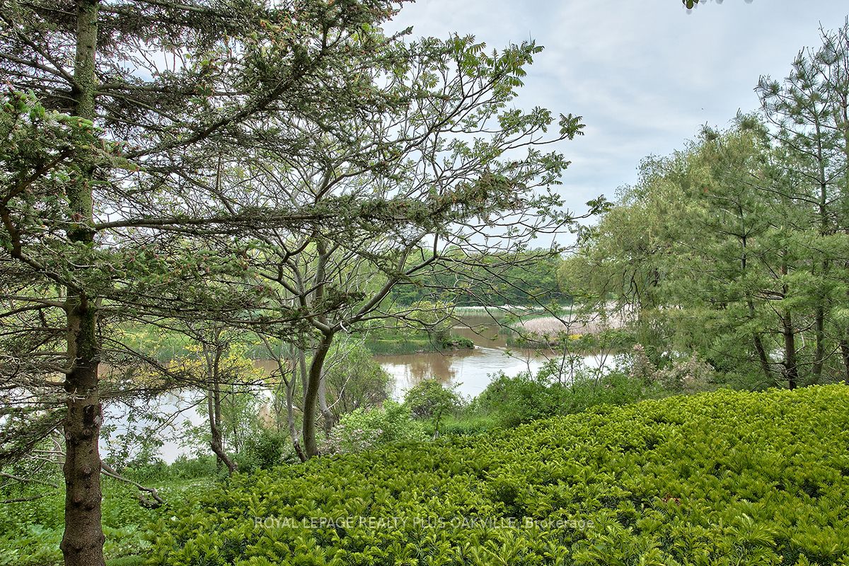 Listing W6159816 - Large Photo # 33