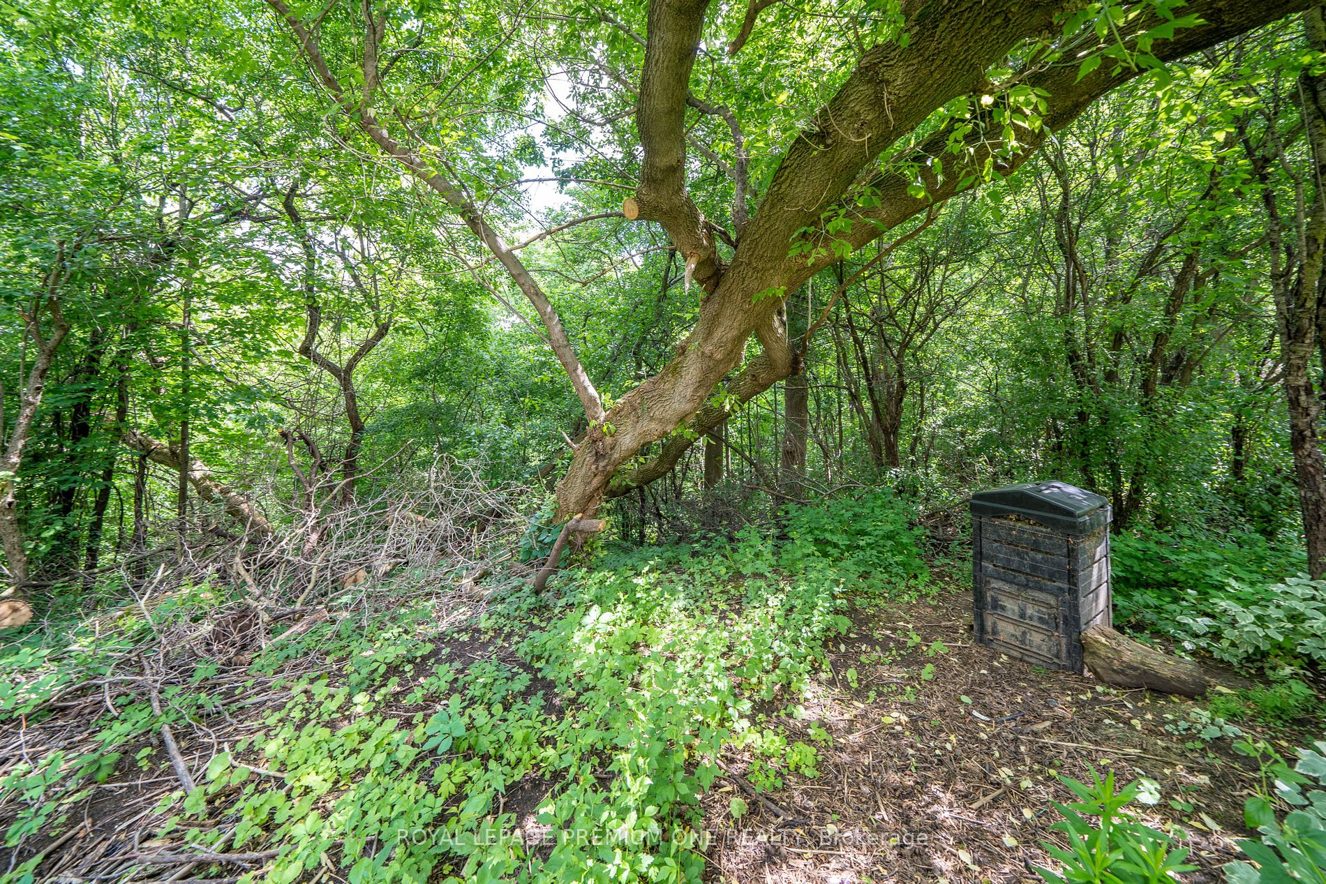 20 Bridgend Cres