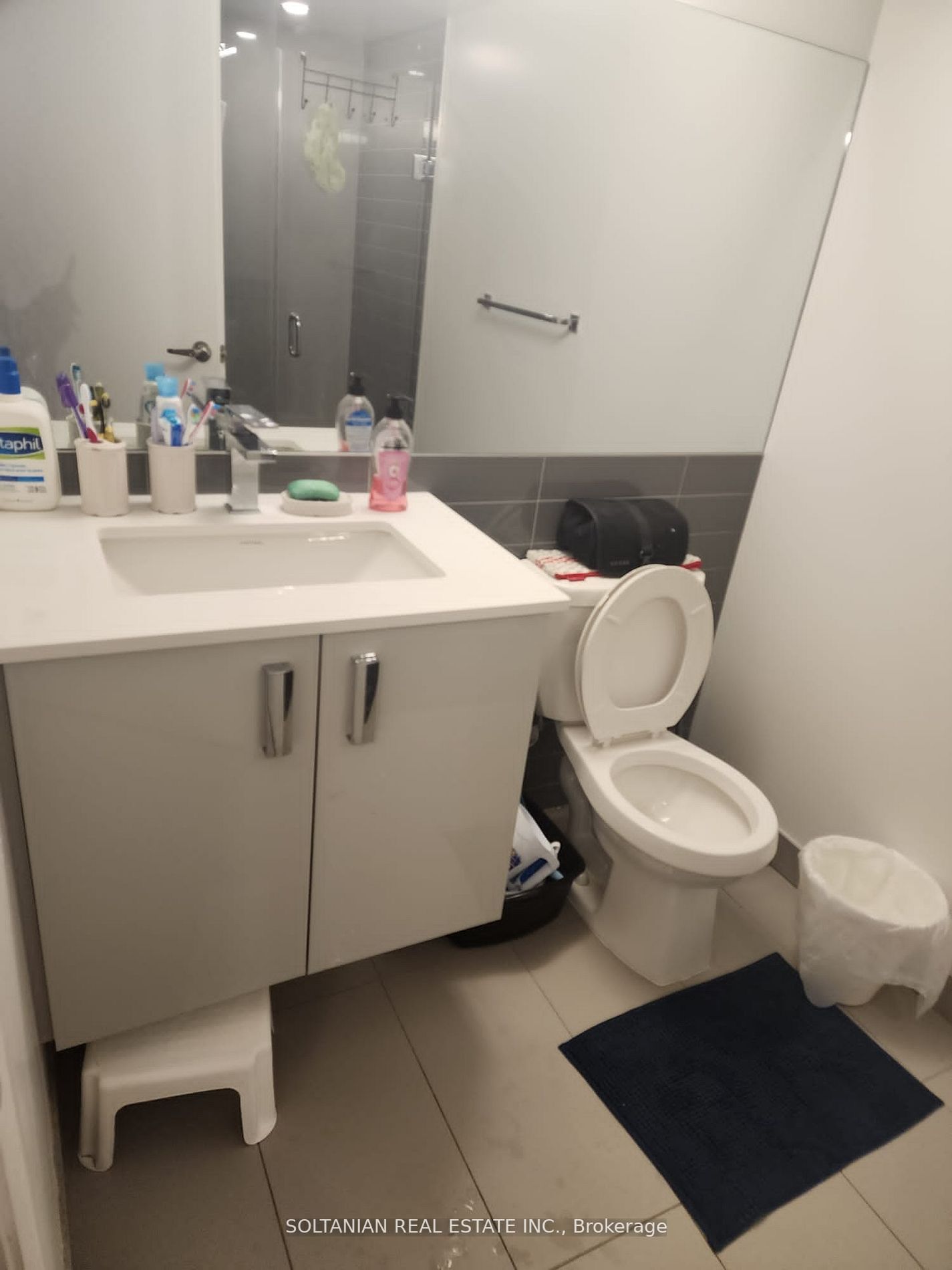 30 Gibbs Rd, #1307