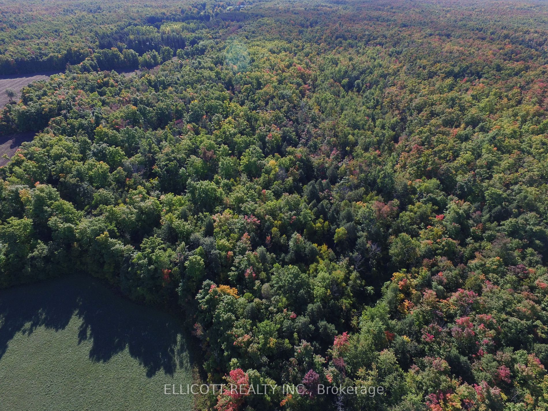 7406 17 Side Rd