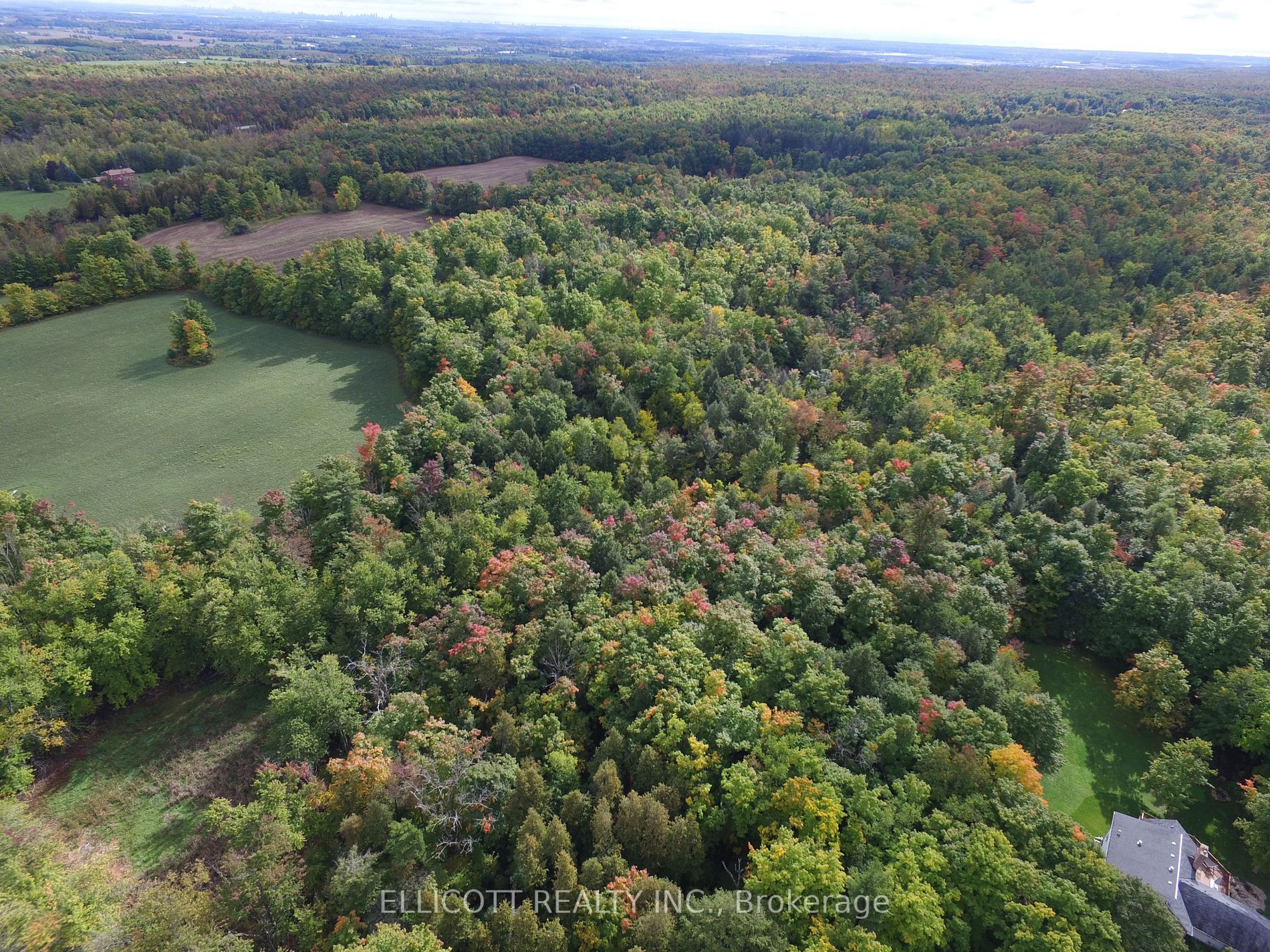 7406 17 Side Rd