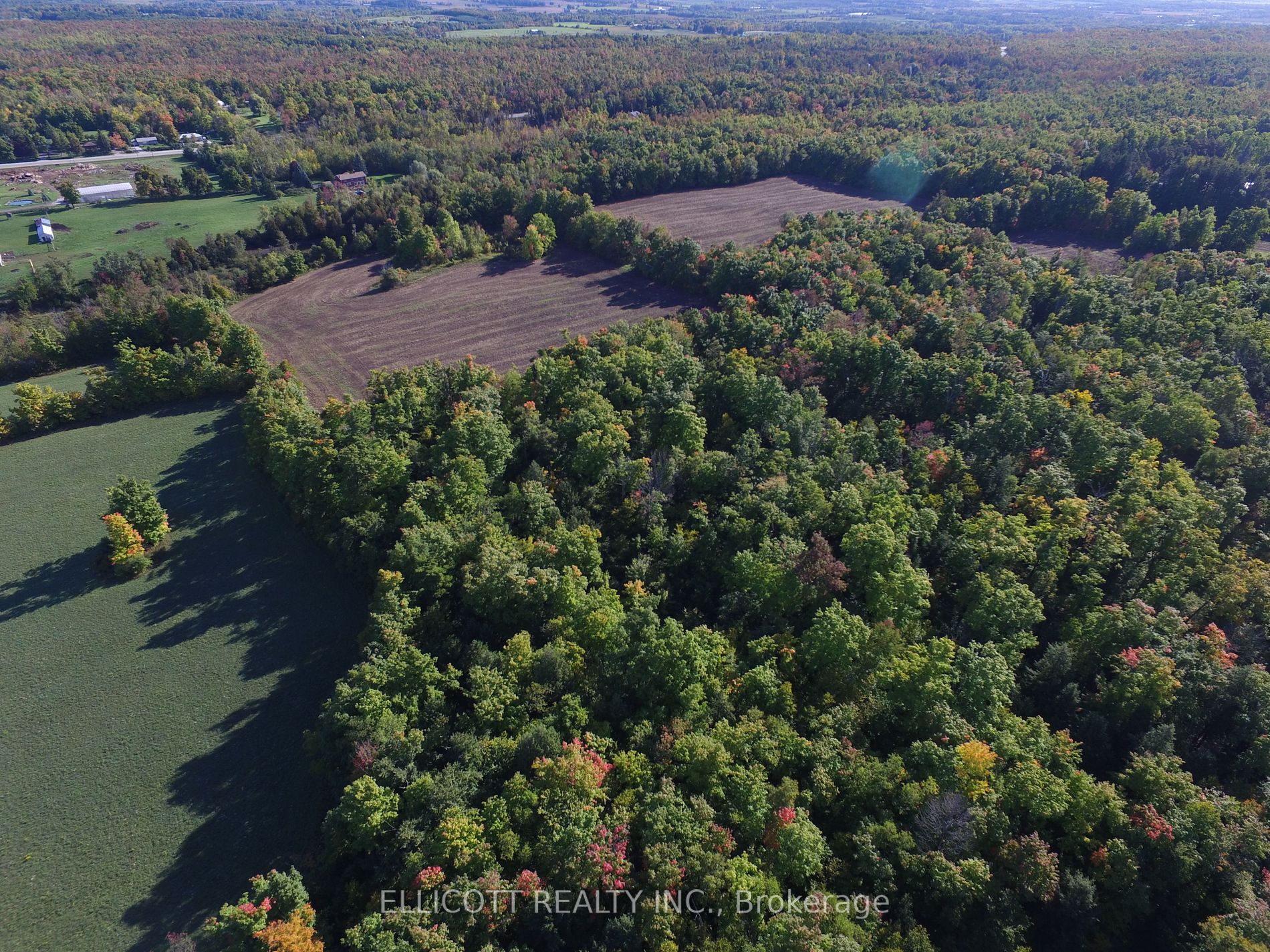 7406 17 Side Rd