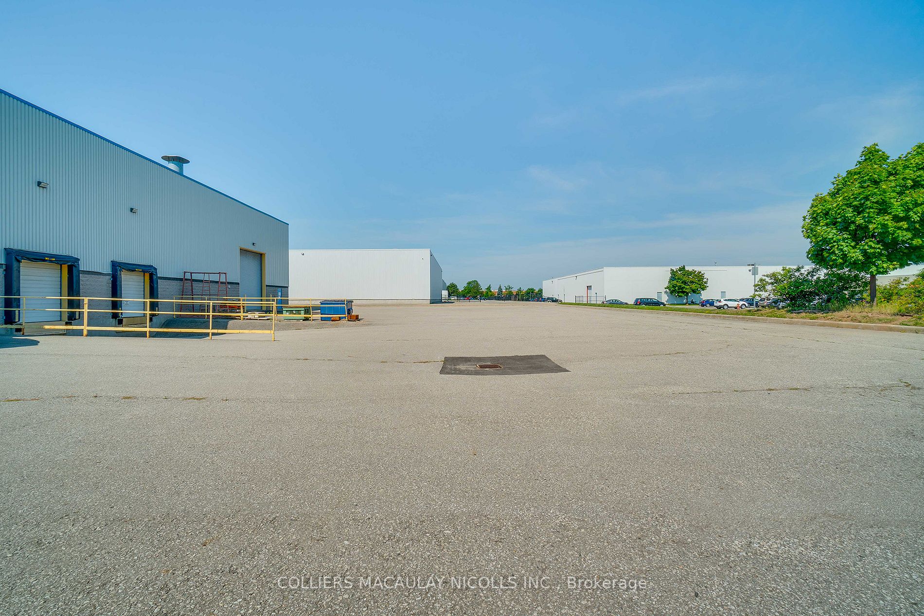 Listing W6188564 - Large Photo # 8